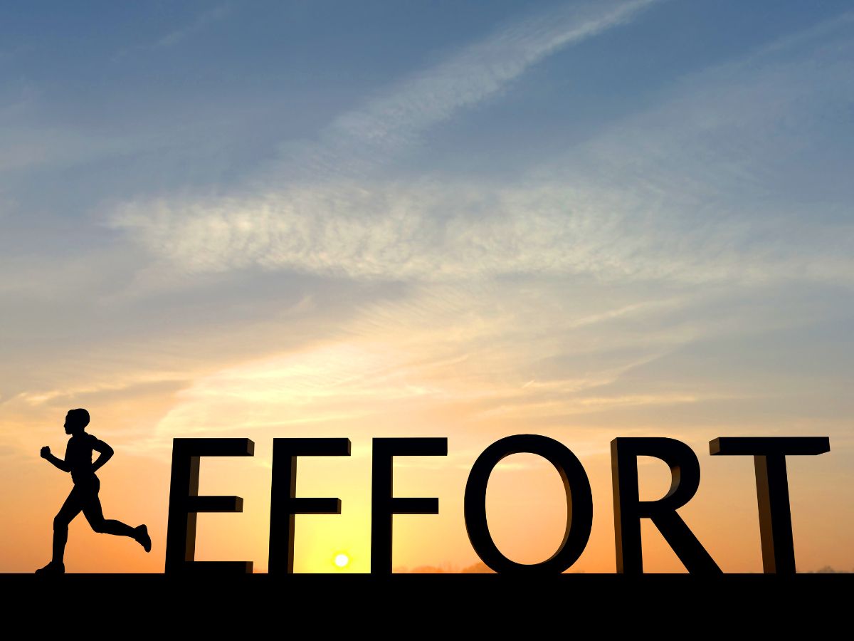 Putting Forth an Effort for Success in Your Endeavours - T. Harv 
