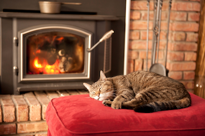 cat sleeping in front of fire