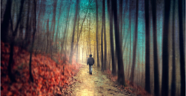 person walking though a forest